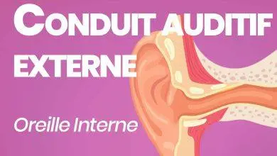 conduit auditif externe