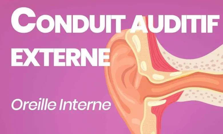 conduit auditif externe