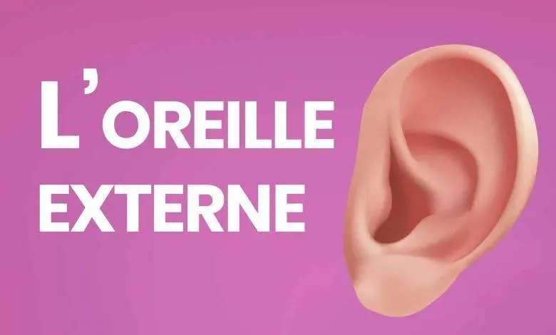 oreille externe