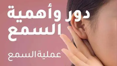 أهمية ودور السمع في الحياة اليومية