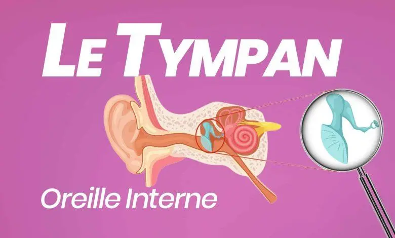 tympan anatomie