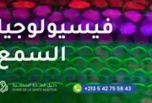 فيزيولوجيا السمع، دليل الصحة الشاملة